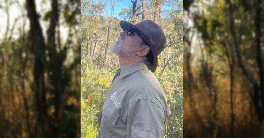 SHWS - Koala monitoring