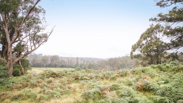 "Spring Hill" Bundanoon View of "Spring Hill" farmland surrounded by native bush.